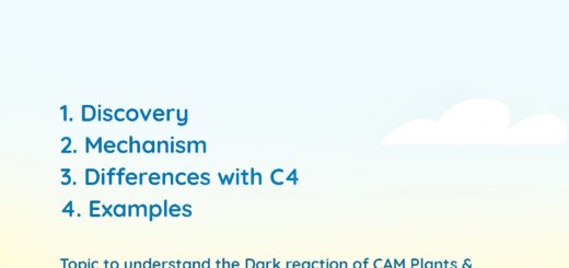 Crassulacean Acid Metabolism: The Complete mechanism 2 Crassulacean Acid Metabolism Pathway