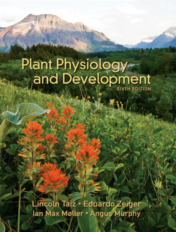 Plant Physiology by Taiz and Zieger 6th edition, Download free book of Plant physiology
