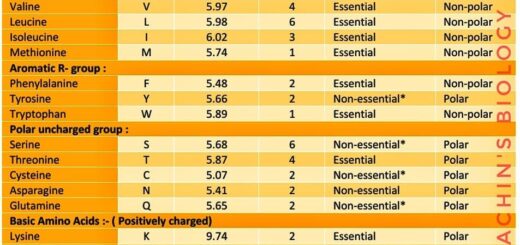All 20 standard amino acids
