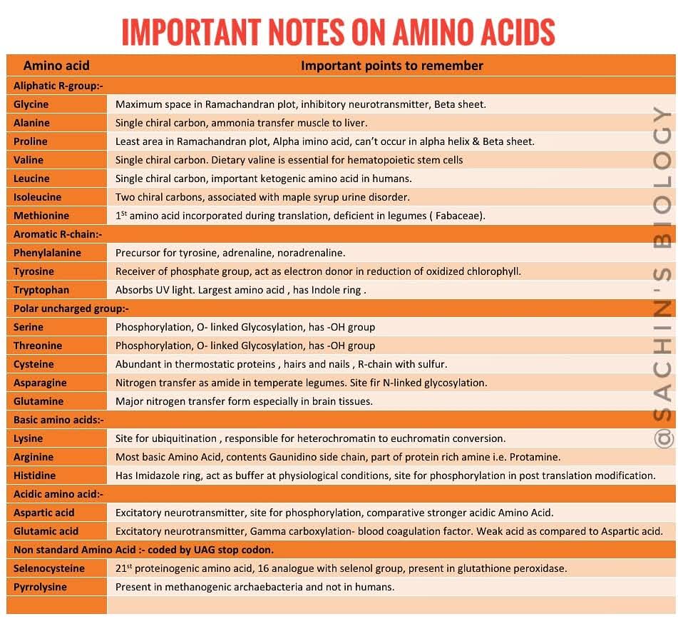 amino acids list