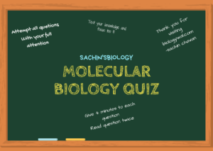 Molecular Biology MCQ Quiz