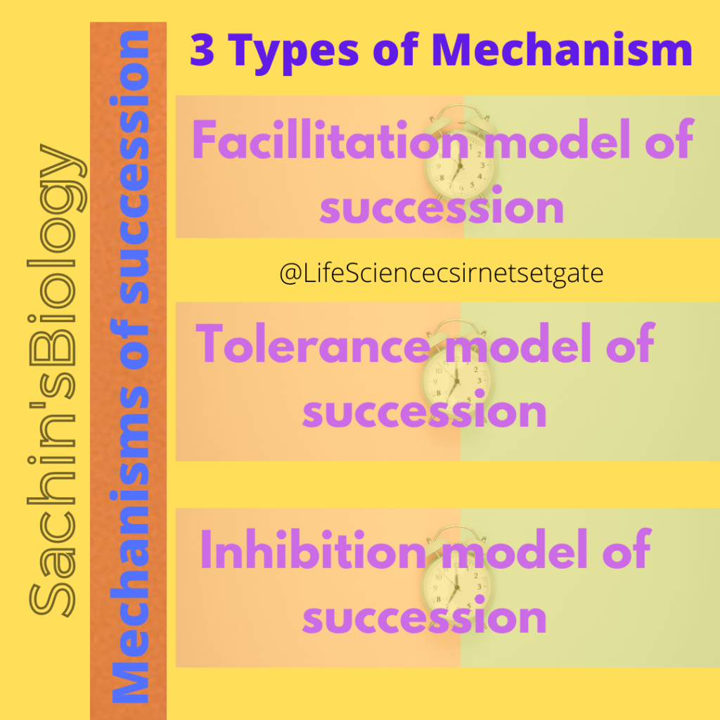 Ecological succession mechanisms, ecological succession