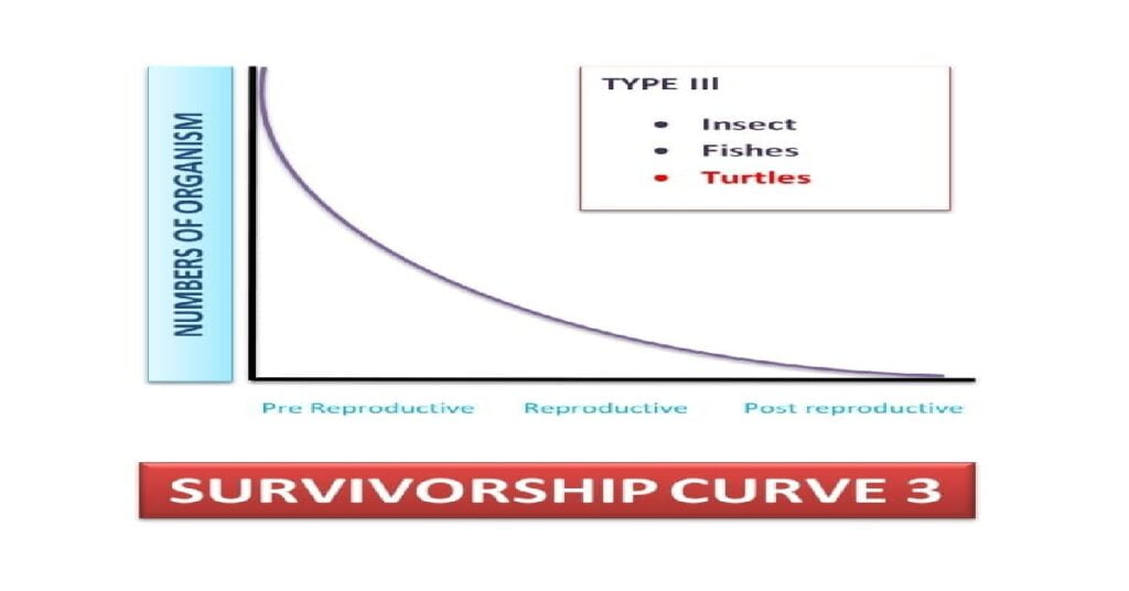 Survivorship curves: All 3 types and their important examples 6 Survivorship curve type 3