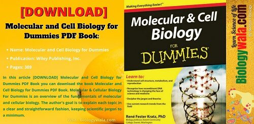 [DOWNLOAD] Molecular and Cell Biology for Dummies PDF Book
