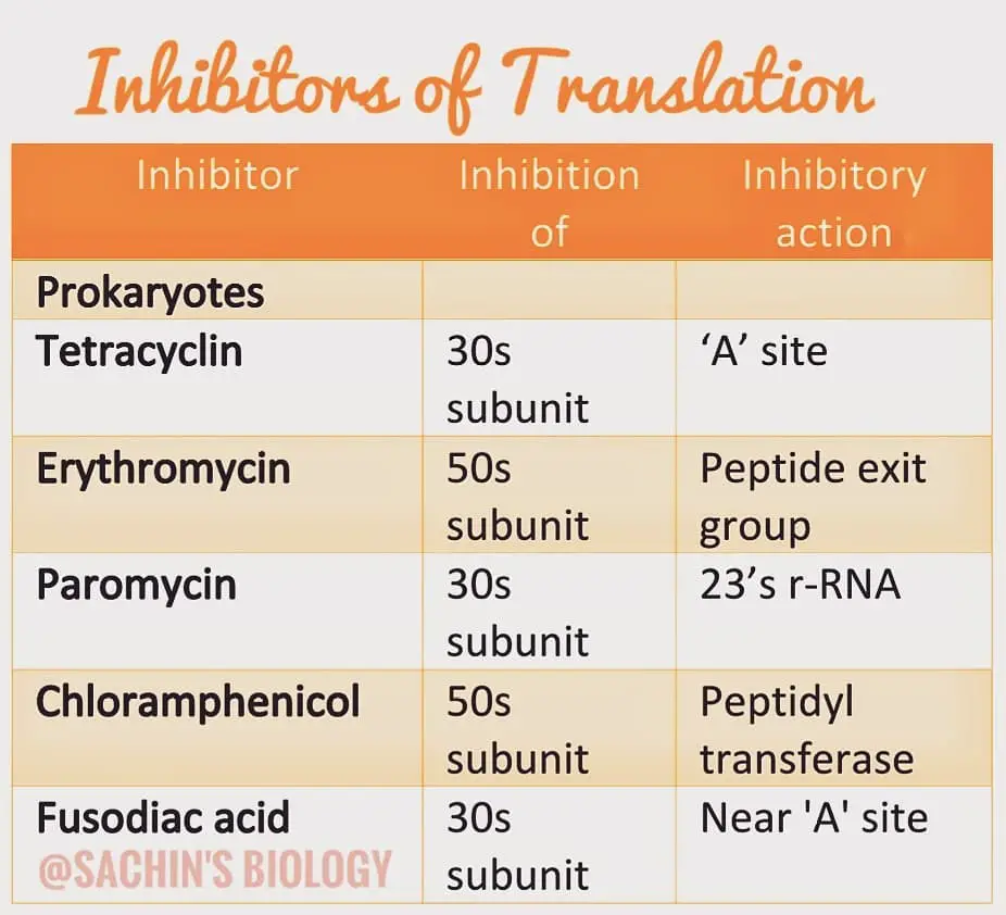[PDF] Inhibitors of Transcription and Translation Notes 2