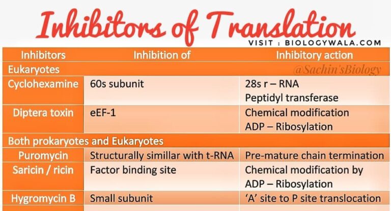 [PDF] Inhibitors Of Transcription And Translation Notes