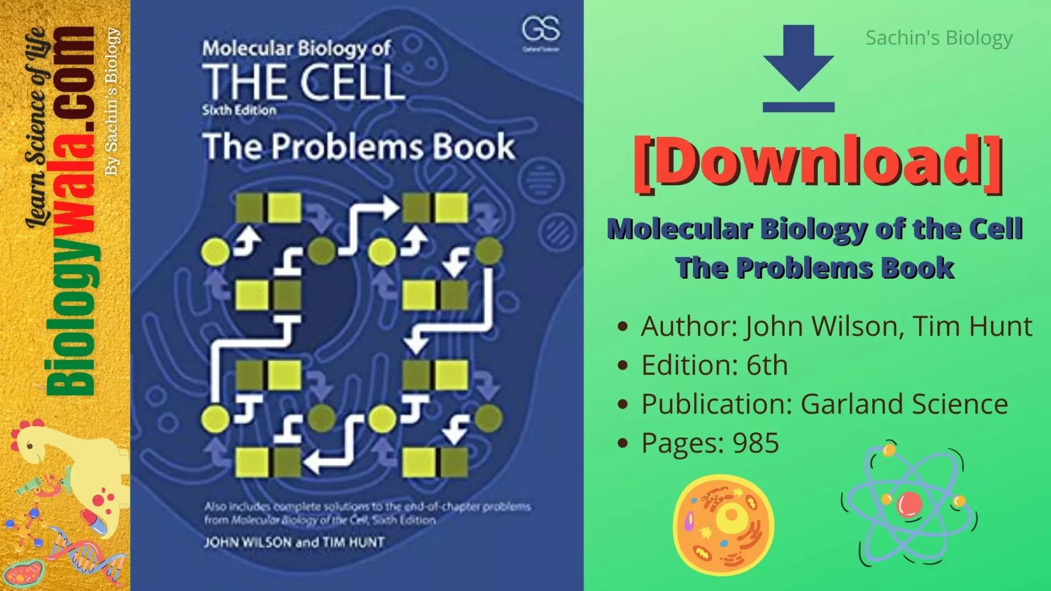 [PDF] Molecular Biology of the Cell The Problems Book 6th edition by John Wilson Tim Hunt