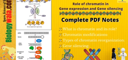 Role of chromatin in gene expression and Gene silencing
