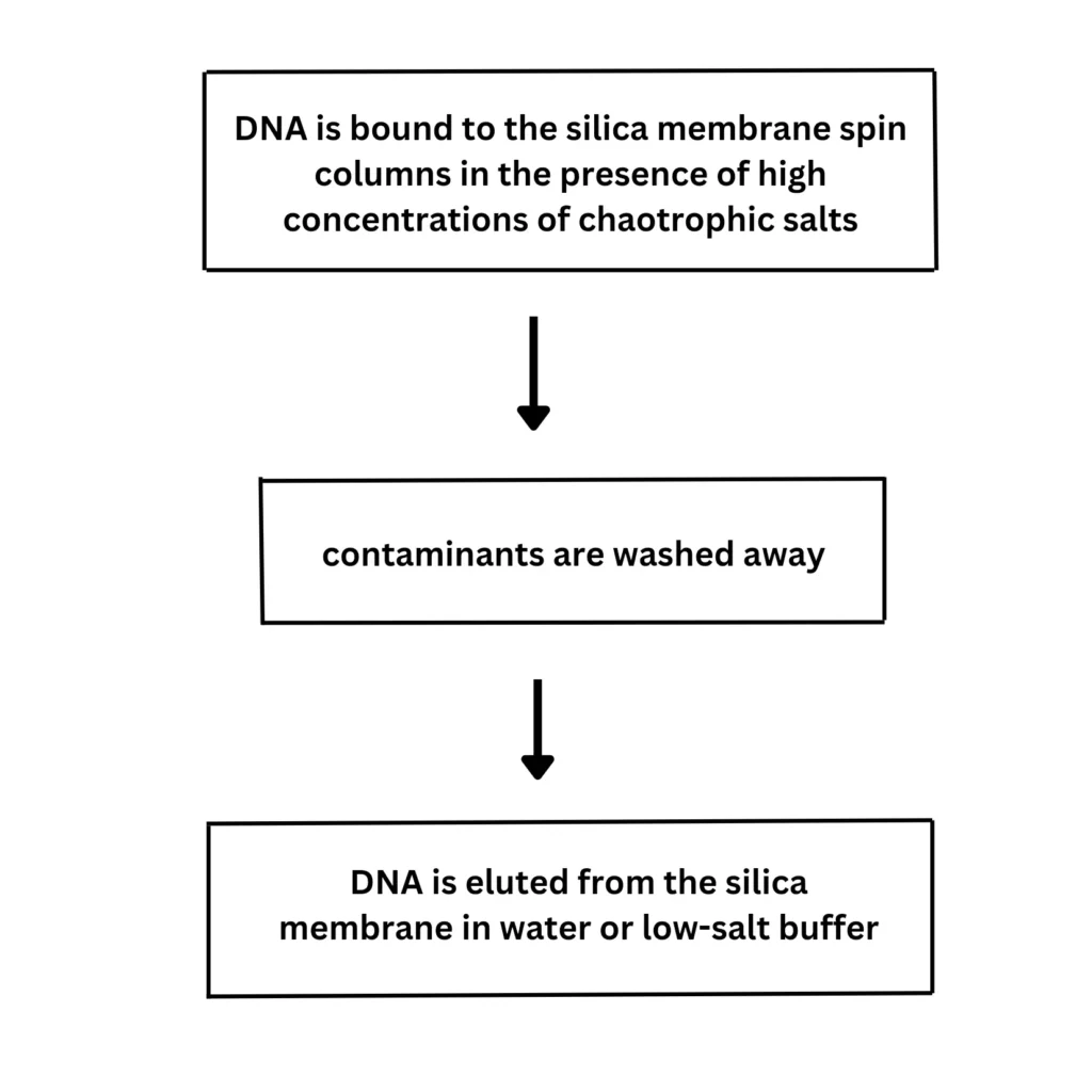 Biologywala.com By: Sachin's Biology