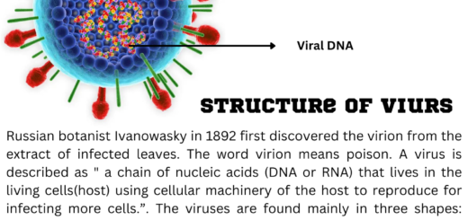 Virus - Structure, Types, Classification And Diseases