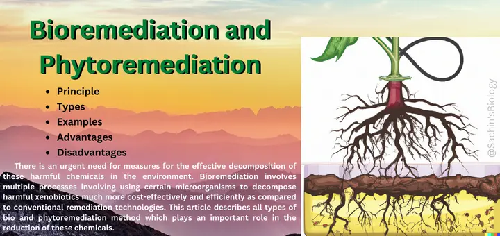 Bioremediation and Phytoremediation