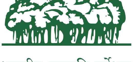 BSI Recruitment 2023: Vacancies For Junior Project Assistant In Life Sciences