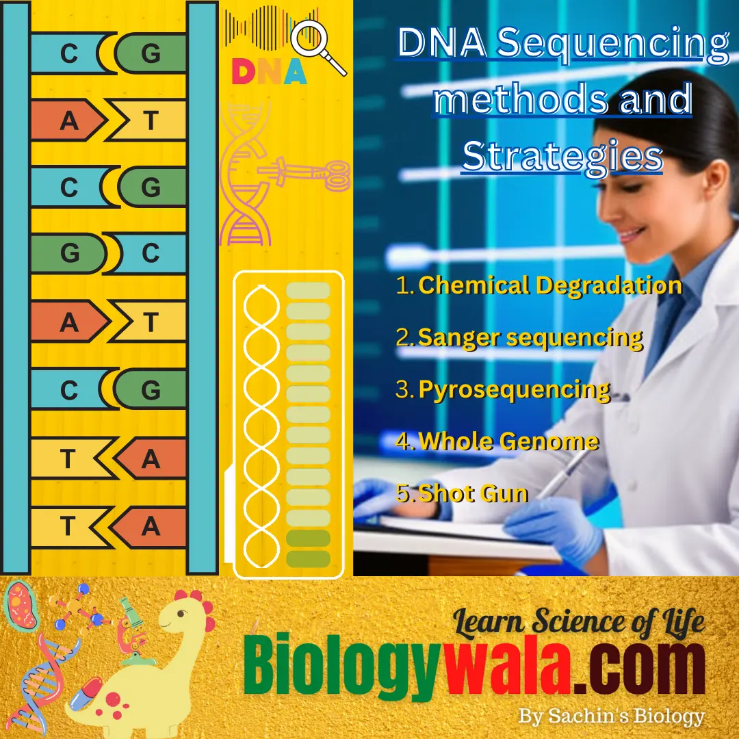 DNA Sequencing methods and Strategies