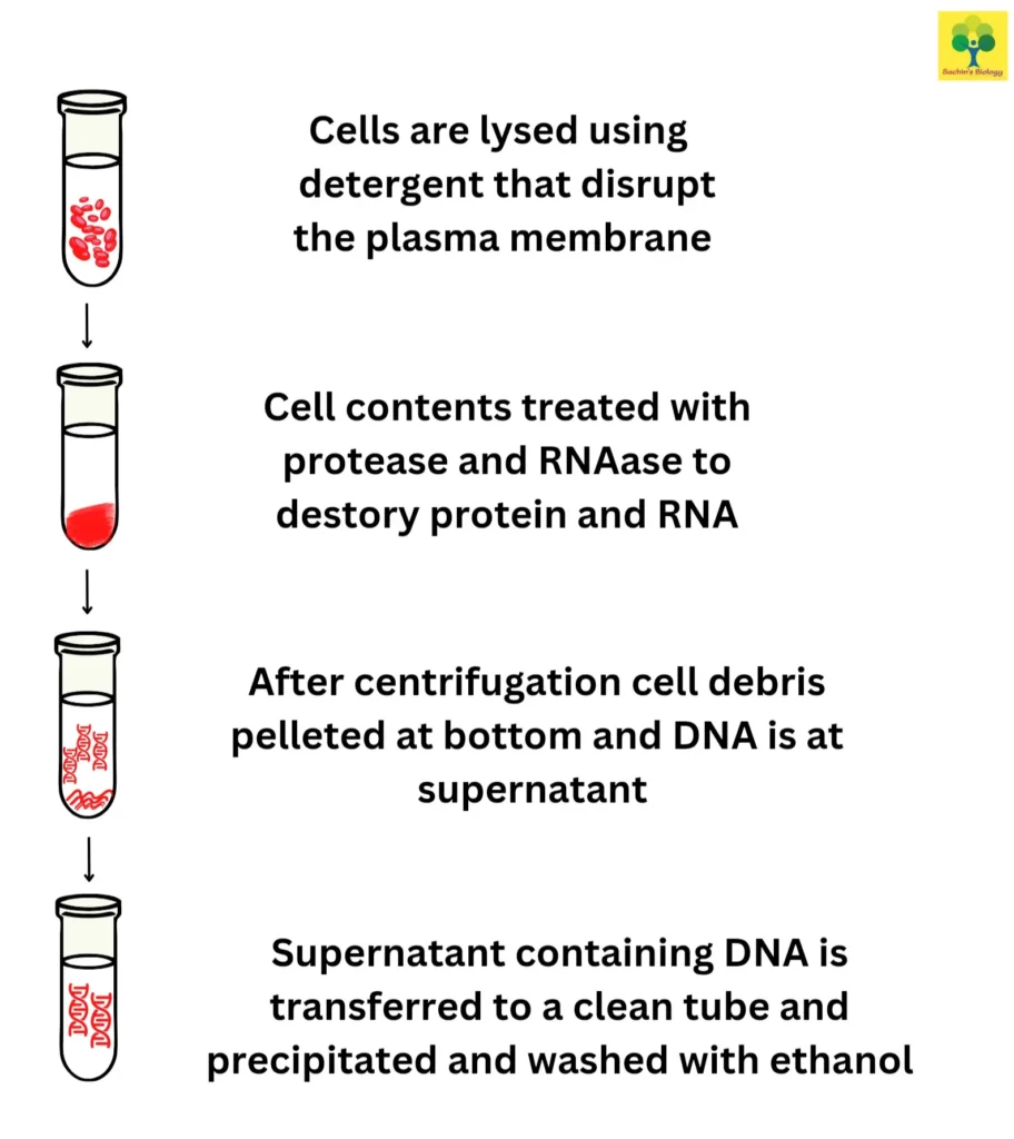 Biologywala.com By: Sachin's Biology