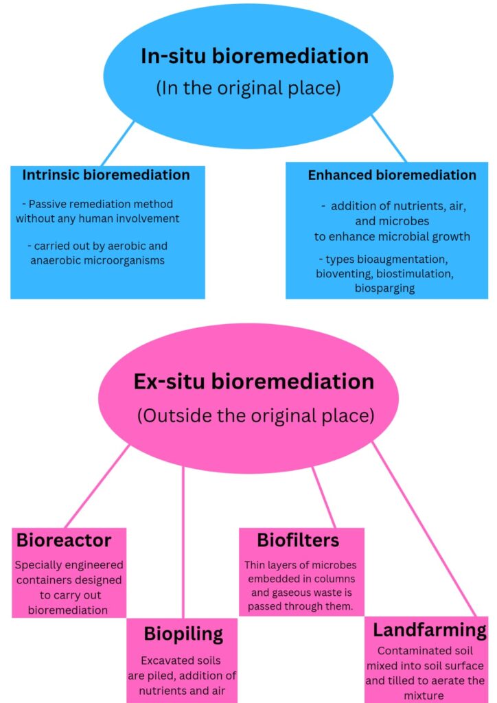 Bioremediation and Phytoremediation