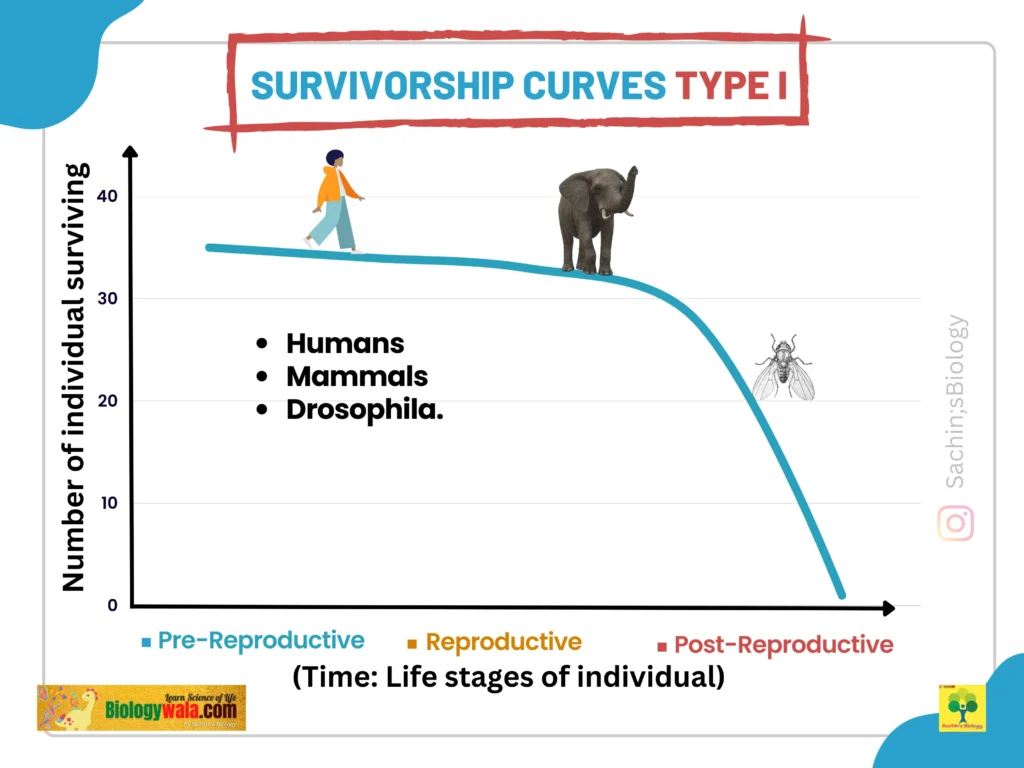 Type I Survivorship curve I