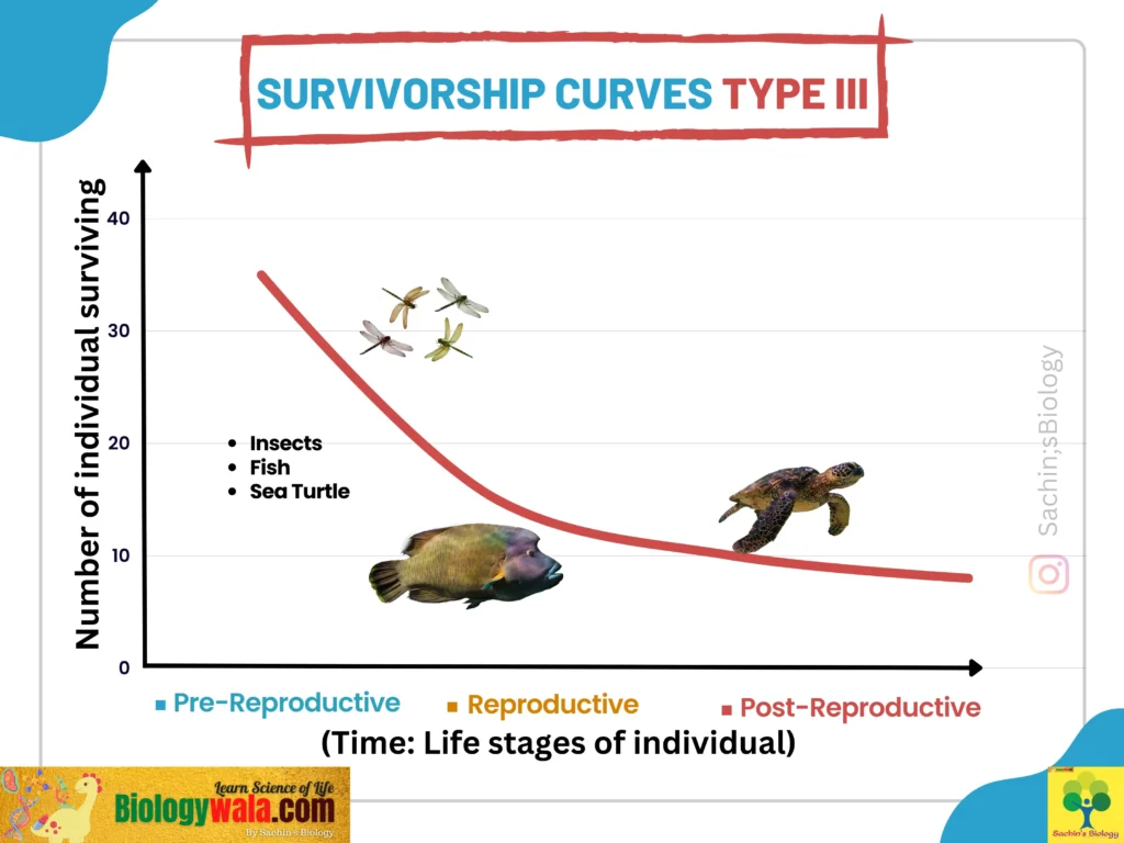 Type III Survivorship curve III