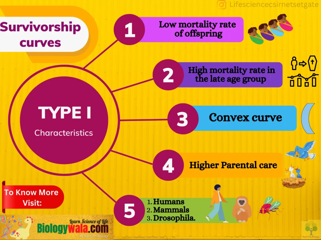 survivorship curve types on biologywala.com