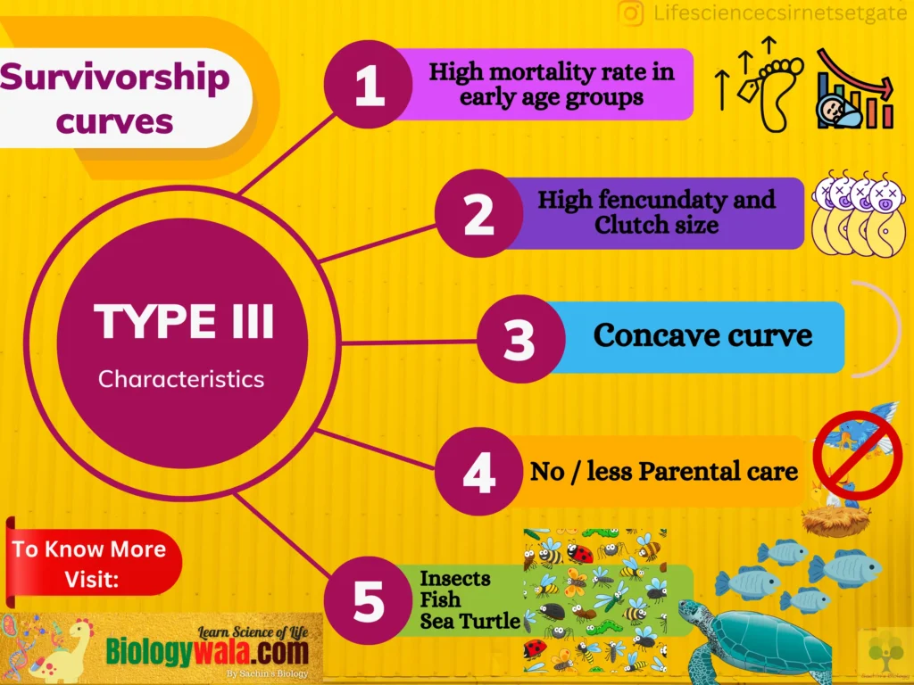 survivorship curve types : type iii