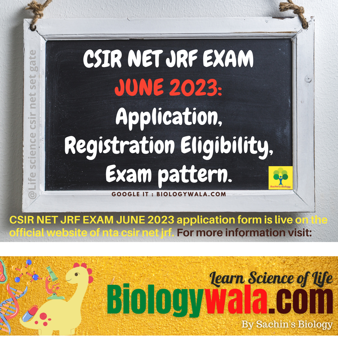 CSIR NET JRF EXAM 2023: Application, Registration Eligibility, Exam pattern.