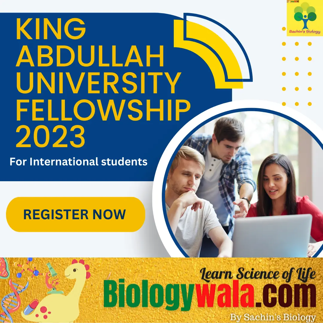 King Abdullah University Fellowship 2023