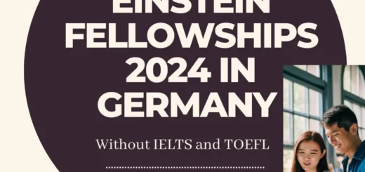 Einstein Fellowships 2024