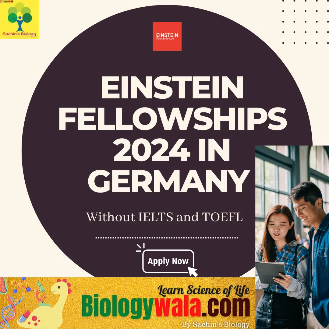 Einstein Fellowships 2024
