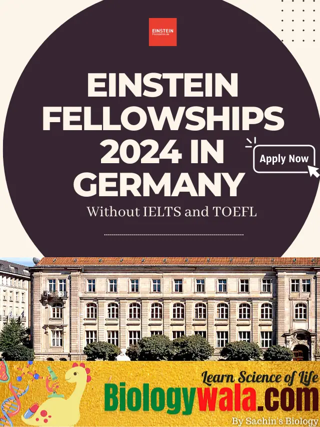 Apply For Einstein Fellowships 2024 In Germany