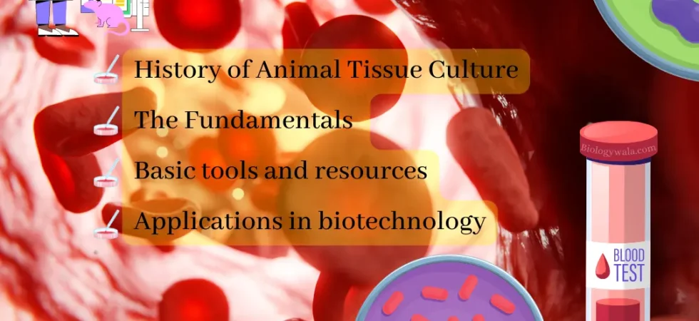[PDF] Animal Tissue Culture: Biology pdf notes