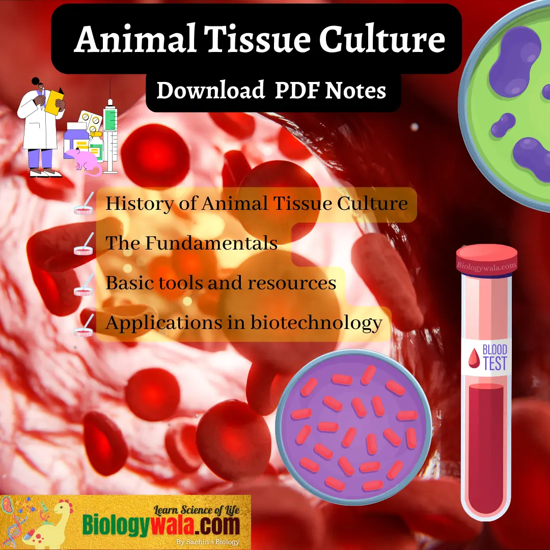 [PDF] Animal Tissue Culture: Biology pdf notes