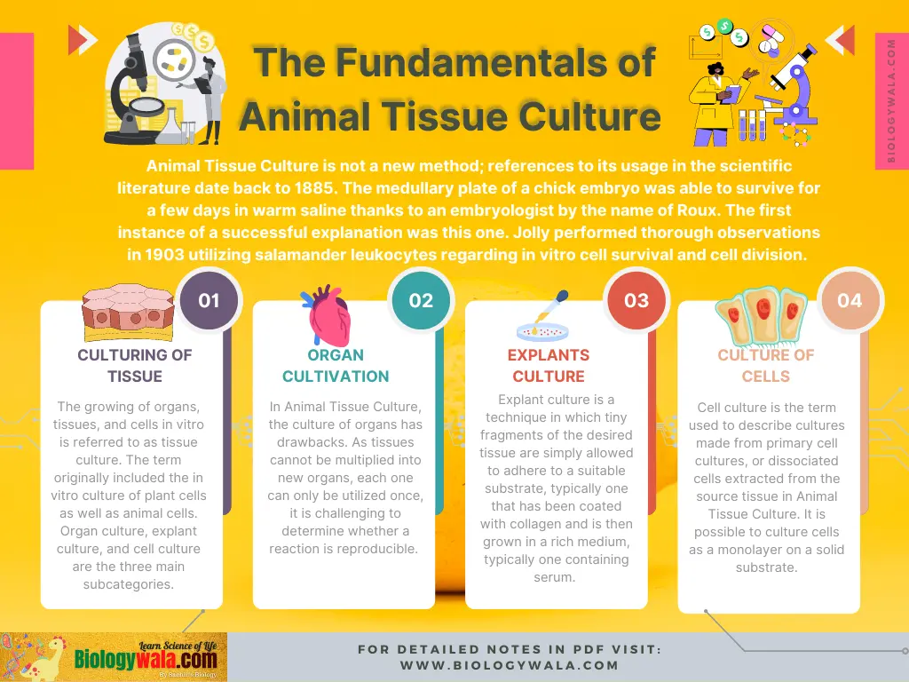 The Fundamentals of Animal Tissue Culture