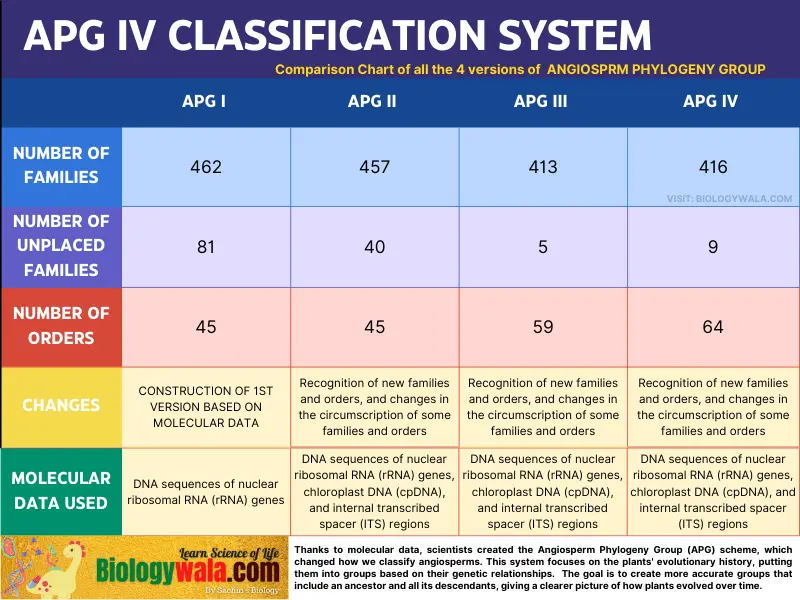 Recent Trends In The Classification Of Angiosperm Taxonomy, 55% OFF