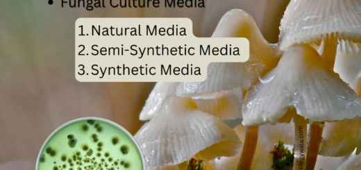 Fungal Culture PDF: Fungal Culture Media
