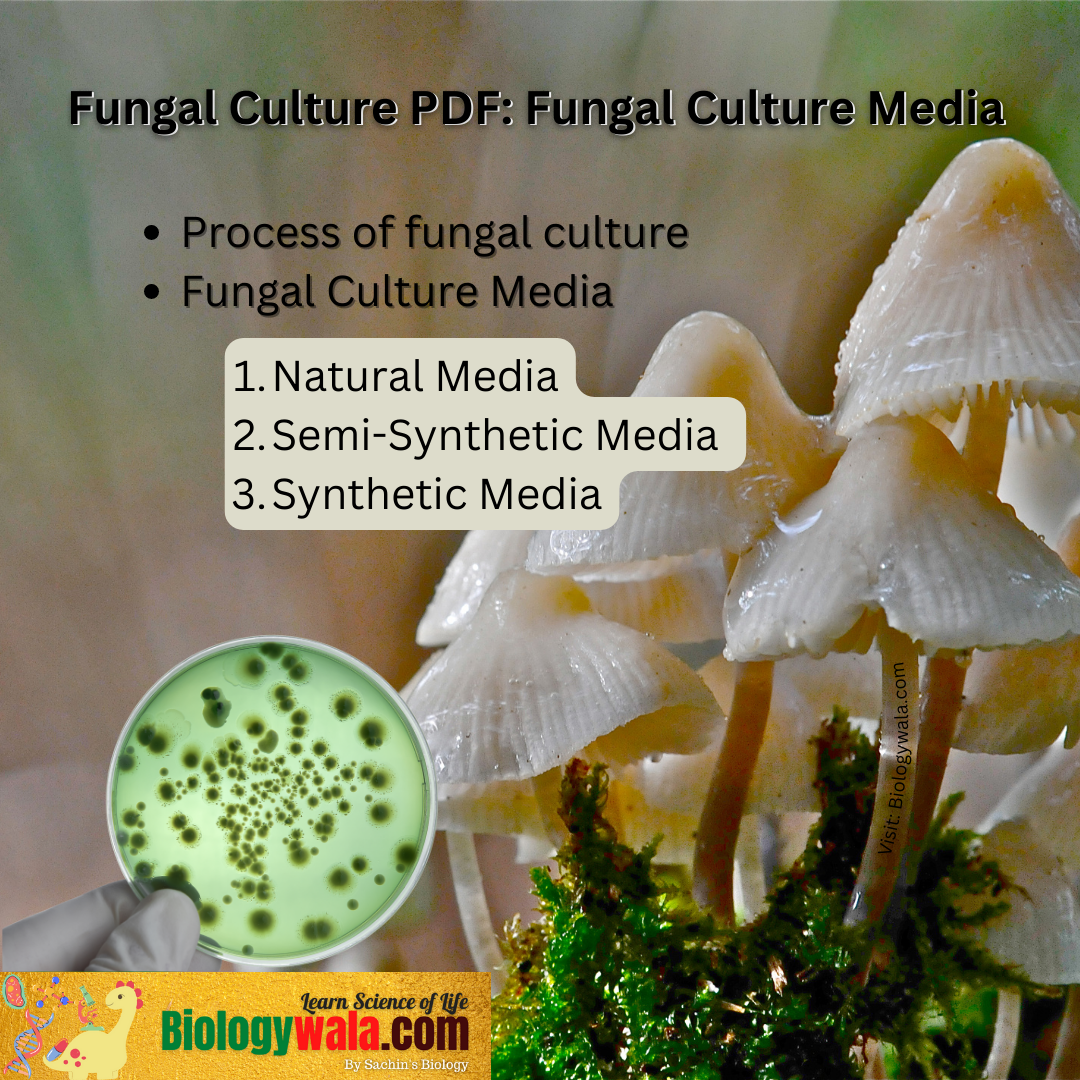 Fungal Culture PDF: Fungal Culture Media