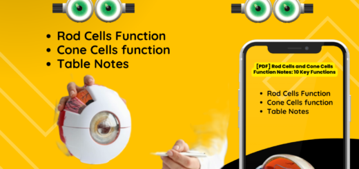 [PDF] Rod Cells and Cone Cells Function Notes: 10 Key Functions