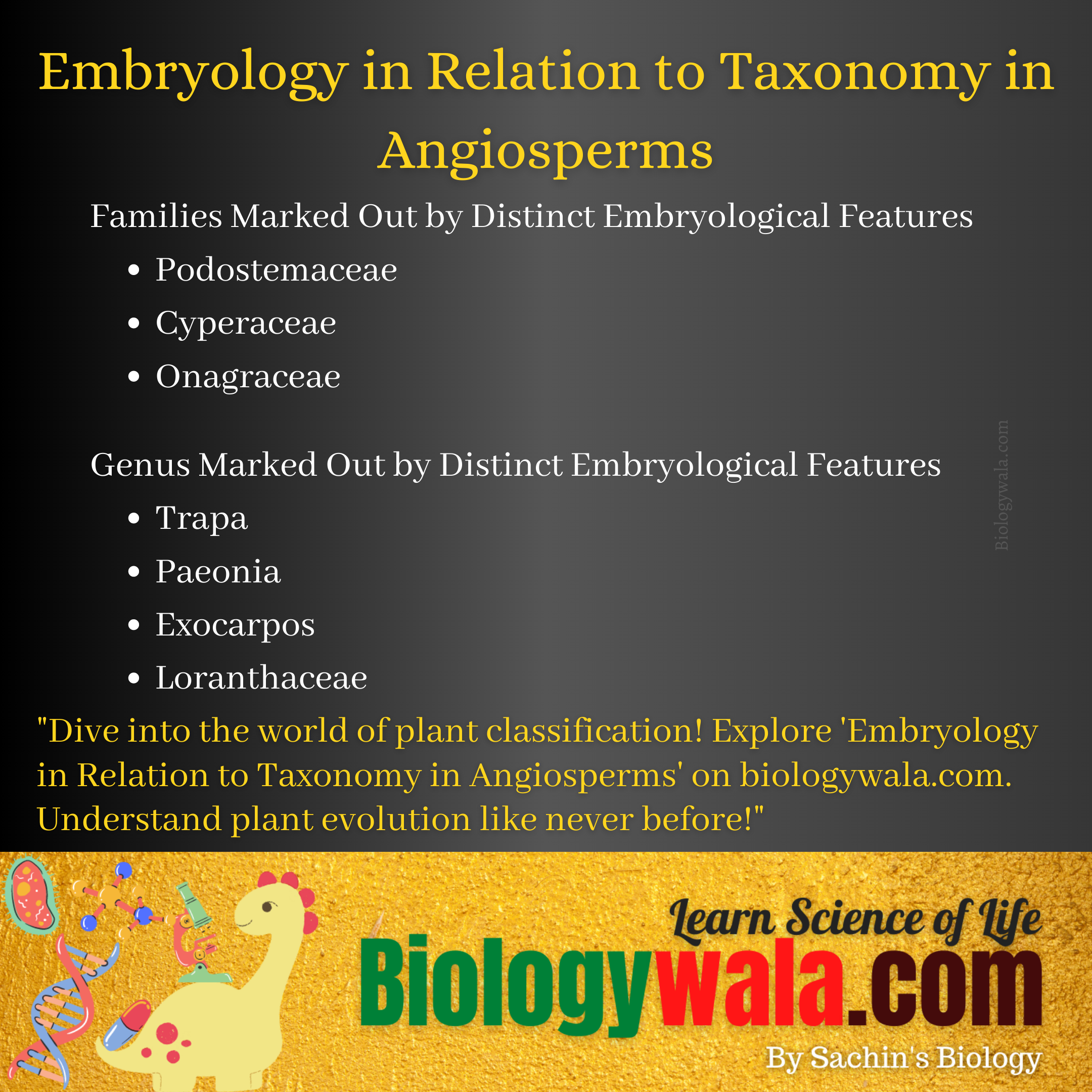 [PDF] Embryology in Relation to Angiosperms Taxonomy | Role of Embryology in Taxonomy