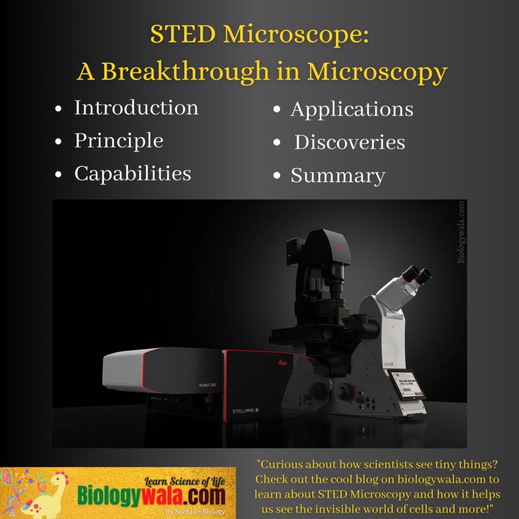 STED Microscope: A Breakthrough In Microscopy - Biologywala.com By ...