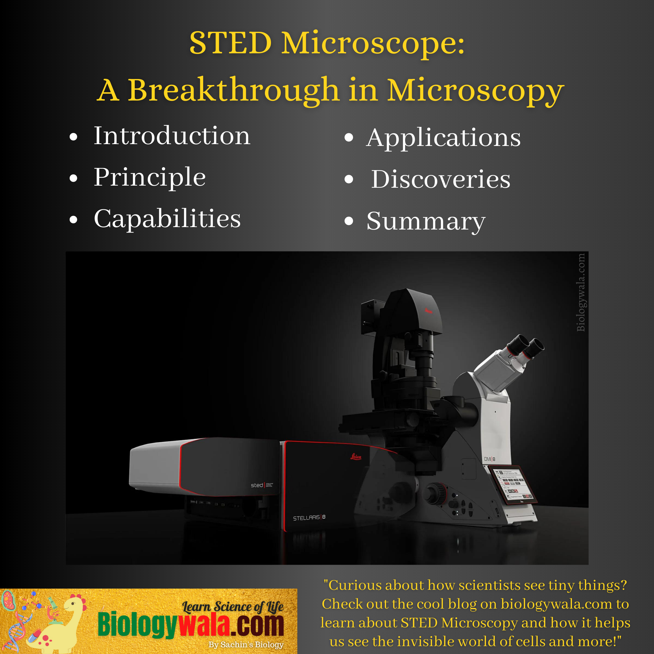 STED Microscope A Breakthrough in Microscopy
