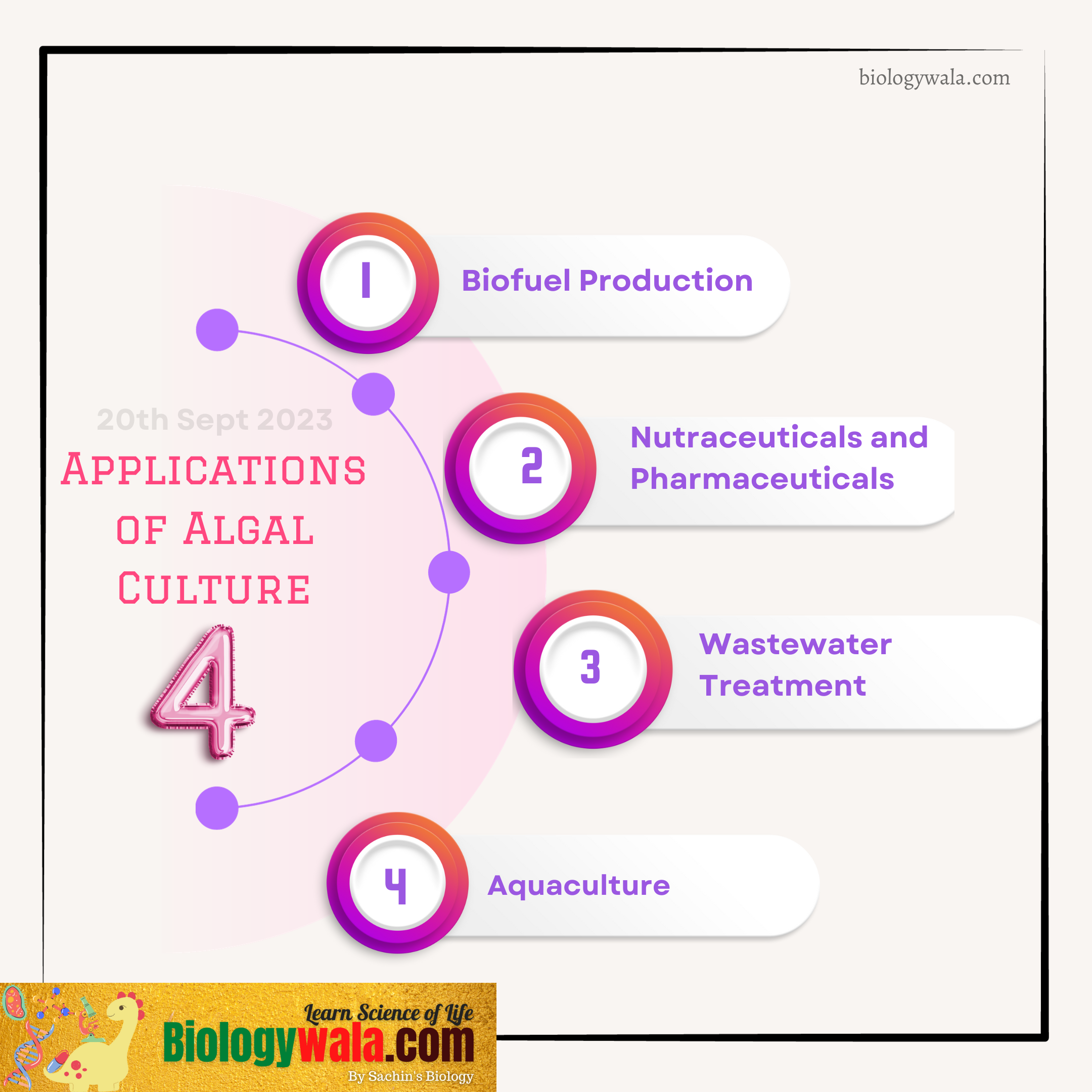 Applications of Algal Culture