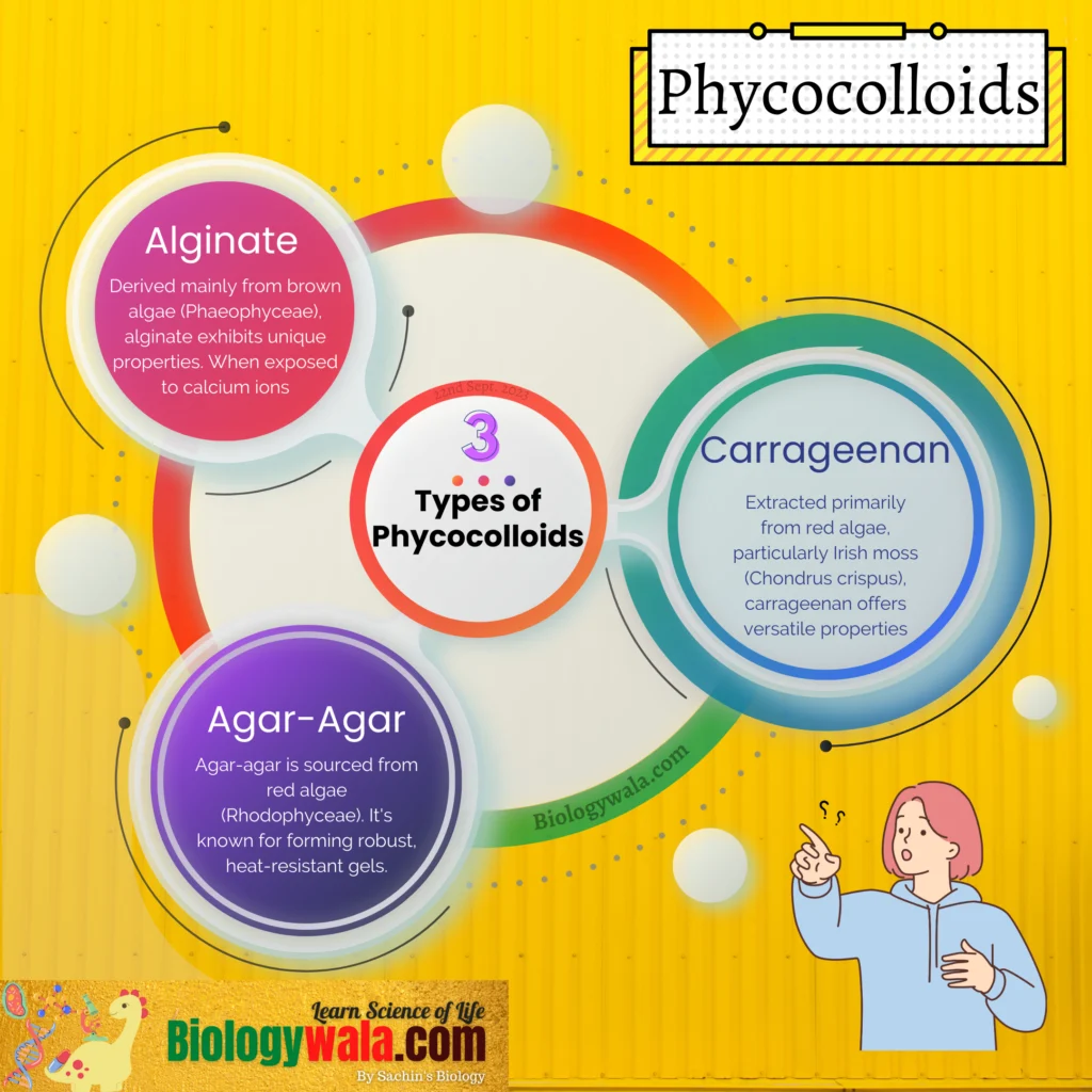 Phycocolloids PDF: Definition, 3 Types, Applications - Biologywala.com ...