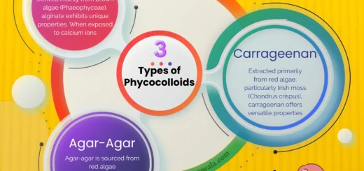 Phycocolloids PDF Definition, Types, Applications
