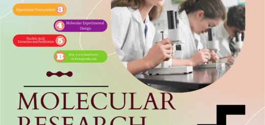 Molecular Research Process Step-by-Step Guide
