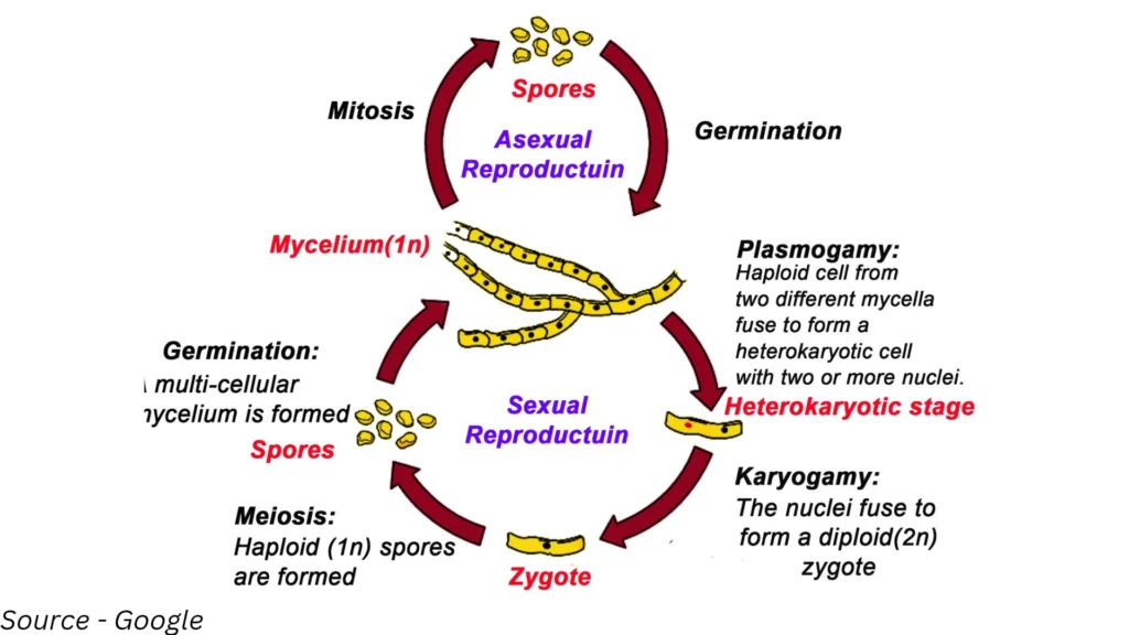 Biologywala.com By: Sachin's Biology