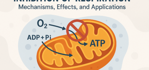 Inhibition of Respiration: Mechanisms, Effects, and Applications 3 Inhibition of Respiration: Mechanisms, Effects, and Applications