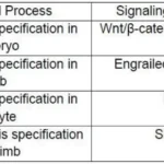 CSIR NET Life Science Dec 2024 Answer Key (Parts C) Part 3 6 Biologywala.com By: Sachin's Biology