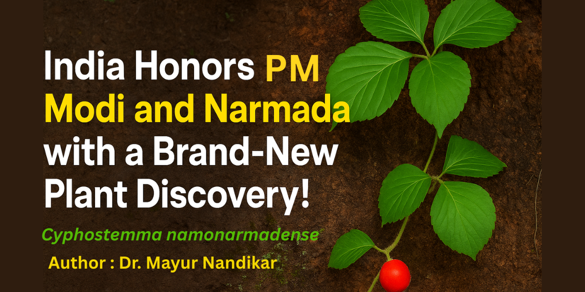 India Honors PM Modi and Narmada with a Brand-New Plant Discovery!" 1 India Honors Modi and Narmada with a Brand-New Plant Discovery!" 2