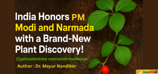 India Honors PM Modi and Narmada with a Brand-New Plant Discovery