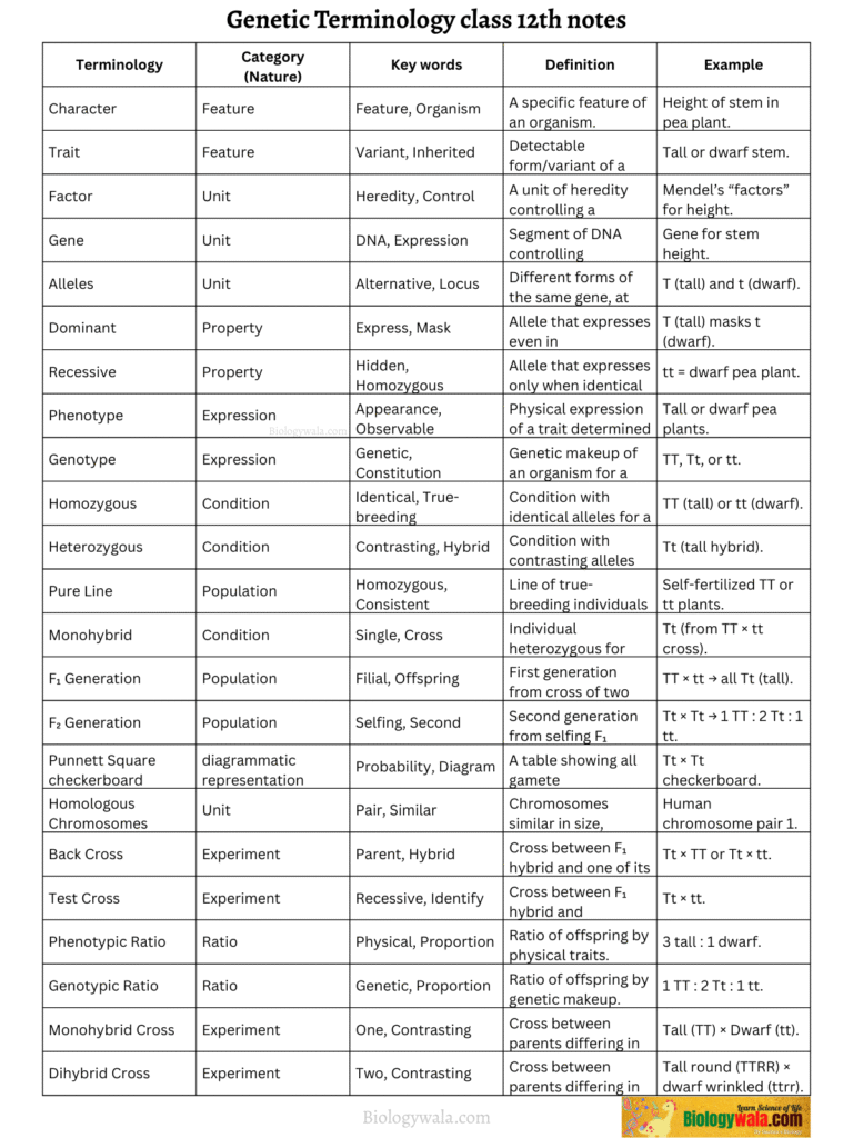 Genetic Terminologies class 12 notes PDF Download 2 Biologywala.com By: Sachin's Biology