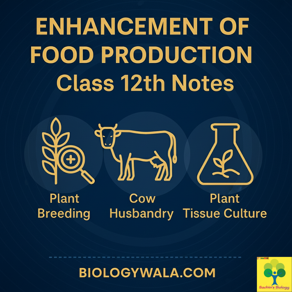Enhancement of Food Production Class 12th Notes PDF